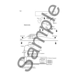 Hilda Paredes: Revelacin (Study Score)