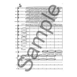 Lus Tinoco: Costa Muda (Soundless Coast)