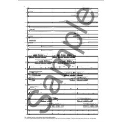 Thomas Simaku: Concerto For Orchestra