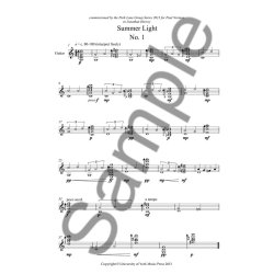 Ed Hughes: Summer Light