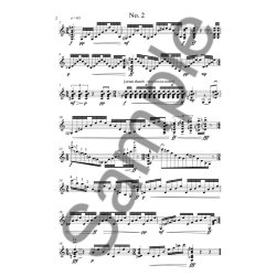 Ed Hughes: Summer Light