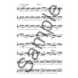 Ed Hughes: Summer Light