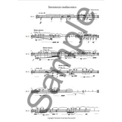 Hilda Paredes: Intermezzo Malinconico