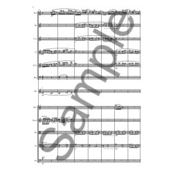 Laurence Roman: Concertino For Flute And Orchestra