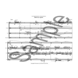 Hilda Paredes: Bit&aacute;cora Capilar