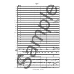 Lu&iacute;s Tinoco: Frisland (Symphony Orchestra)