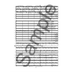 Lu&iacute;s Tinoco: Frisland (Symphony Orchestra)