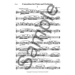 Roman Concertino For Flt/Orch Pf Red