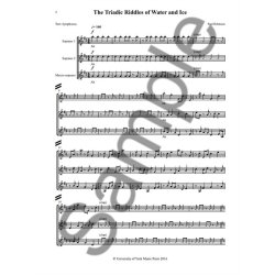 Paul Robinson: The Triadic Riddles Of Water And Ice