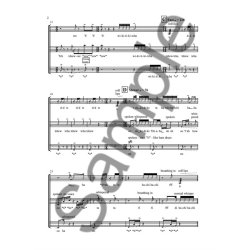 Phillip Neil Martin: Human Drum