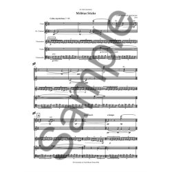 Christopher Leedham: M&ouml;bius Sticks