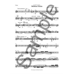 Christopher Leedham: M&ouml;bius Sticks