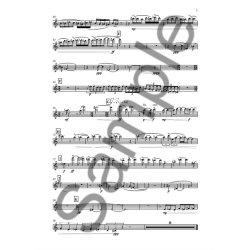 Christopher Leedham: M&ouml;bius Sticks