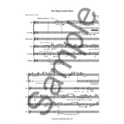 Stef Conner: The Shipwrecked Ghost