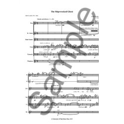 Stef Conner: The Shipwrecked Ghost