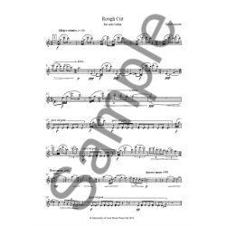 David Lancaster: Rough Cut