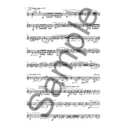 David Lancaster: Rough Cut