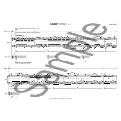 Ed Hughes: Night Music