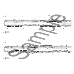 Ed Hughes: Night Music