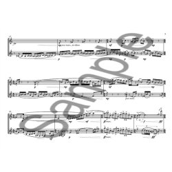 George Nicholson: Shadow Play (2 Performing Scores)