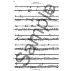 Hilda Paredes: Son Dementes Cuerdas (A3 Portrait Parts)