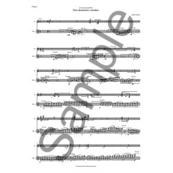 Hilda Paredes: Son Dementes Cuerdas (A3 Portrait Parts)