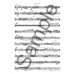 Matthew Roddie: Horn Concerto (B4 Piano Reduction And Solo Part)