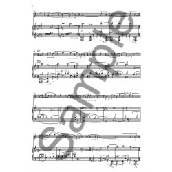 Matthew Roddie: Horn Concerto (B4 Piano Reduction And Solo Part)