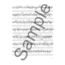 Jo Kondo: Caccia Soave