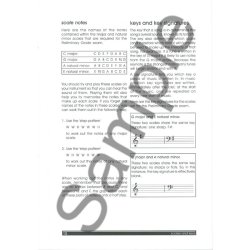 Lcm Rgt Poplr Music Theory Prelim Bk
