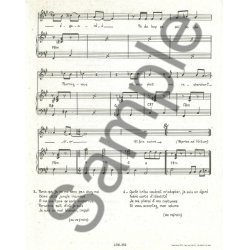 Dick Annegarn: Bebe Elephant