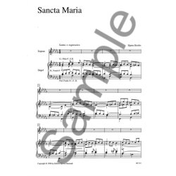 Bjarne Hersbo: Sancta Maria