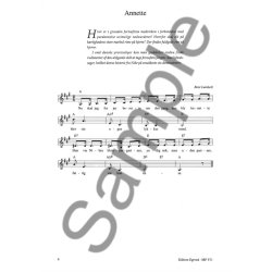 Dick Annegarn: Guitare & Chant