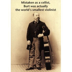 Mildew Design: Mistaken As A Cellist - Greeting Card