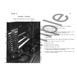 Lo Studio dell?organo