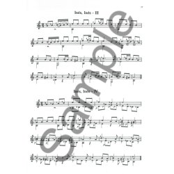 La Guitarra Paso a Paso