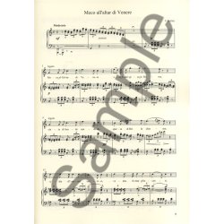 My Personal Conductor Series: Bel Canto Tenor Arias - Volume 2