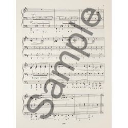 Johannes Brahms: Due Rapsodie Op. 79