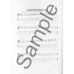 Giorgio Cordini: Bouzouki Technique