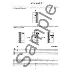 Ludovico Geraldi: Gli Accordi Alla Chitarra Sono Facili