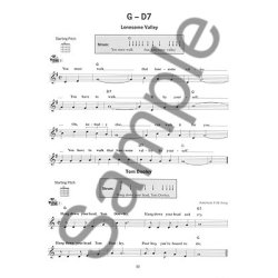 First Lessons Beginning Guitar: Learning Chords/Playing Songs