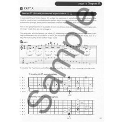 Romane/Derek Sebastian: L'Esprit Manouche (Book/Online Audio)