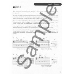 Romane/Derek Sebastian: L'Esprit Manouche (Book/Online Audio)