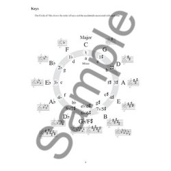 Todd Collins: Fretboard Studies For The Improvising Mandolinist