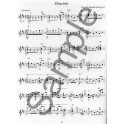 The Complete Works Of Agustin Barrios Mangore: Vol. 2 (Book/Online Audio)