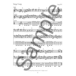 Dan Levenson: Old-Time Festival Tunes For Fiddle & Mandolin (Book/Online Audio)