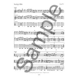 Dan Levenson: Old-Time Festival Tunes For Fiddle & Mandolin (Book/Online Audio)