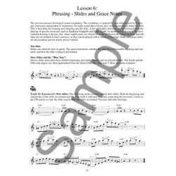 Martin Norgaard: Getting Into Gypsy Jazz Violin (Book/Online Audio)