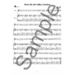 Mizzy McCaskill/Dona Gilliam: Celtic Flute Made Easy (Book/Online Audio)