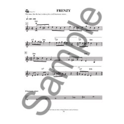 Mary Ann Harbar: Gypsy Violin Basics - A Beginner's Guide (Book/Online Audio)